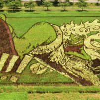 Check Out This Awesome Luffy Gear 5 Rice Paddy Art