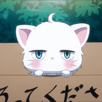 These Anime Cats Have Unique Attitudes About Their Owners