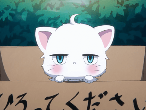 These Anime Cats Have Unique Attitudes About Their Owners