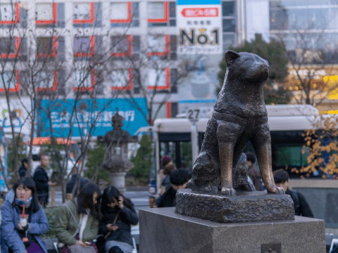 Hachiko Turns 100! Shibuya’s Famous Pup in Anime