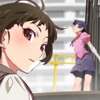 Aniplex Tease Revealed as New Monogatari Anime Adaptation