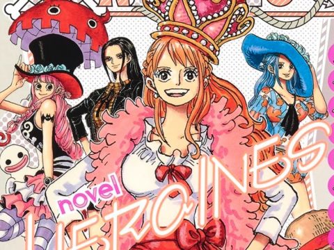 One Piece Heroines Light Novel Series Continues with New Entry