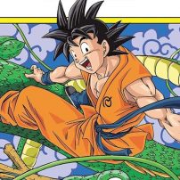 Dragon Ball Super Manga Announces Hiatus