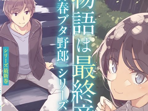 Rascal Does Not Dream Light Novels Near Conclusion