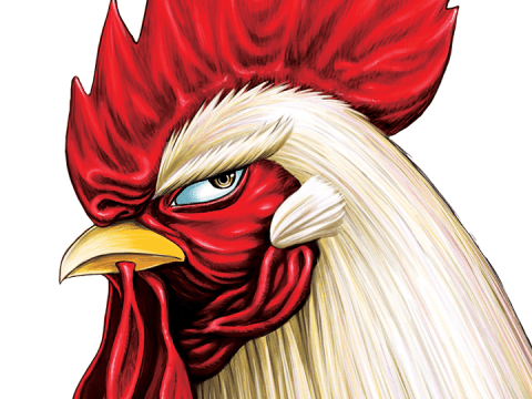 Rooster Fighter Is Our New Favorite Hard-Hitting Manga Hero