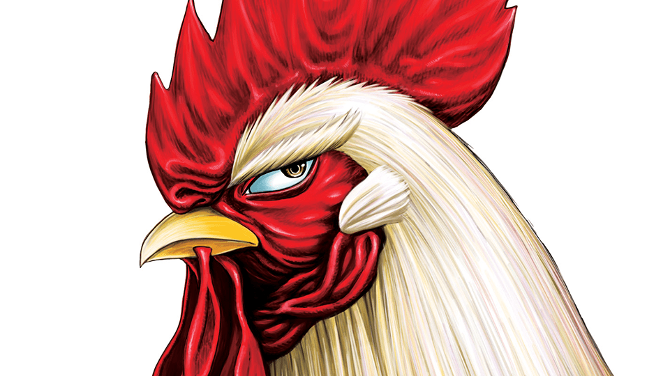 Rooster Fighter Is Our New Favorite Hard-Hitting Manga Hero