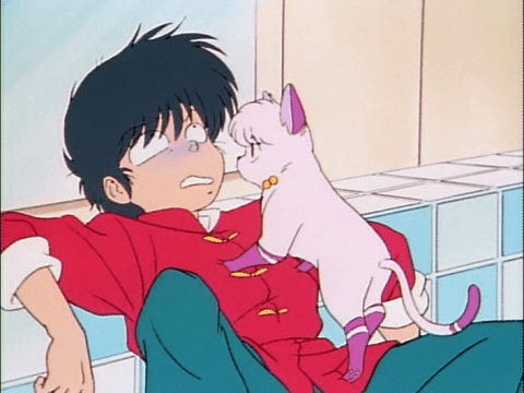 Ranma 1/2 Creator Made Veterinary Clinic Sign That Has Fans Talking