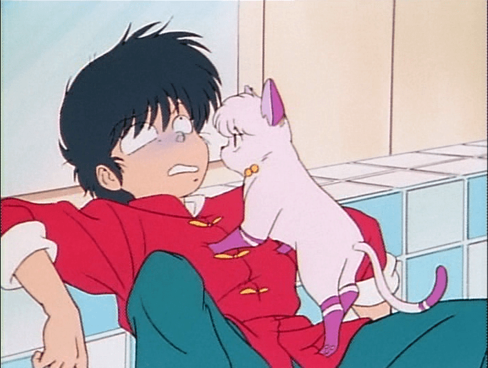Ranma 1/2 Creator Made Veterinary Clinic Sign That Has Fans Talking