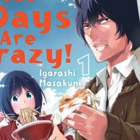 Detectives These Days Are Crazy! Is a Crazy Fun Read