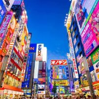 Foreign Tourists Share What Bothered Them in Japan, and Most Said the Same Thing