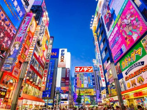 Foreign Tourists Share What Bothered Them in Japan, and Most Said the Same Thing
