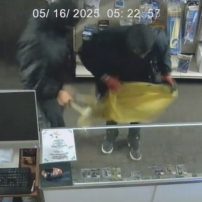 Police Searching for Thieves with Hammers Who Stole Thousands of Dollars of Pokémon Cards from Two Michigan Shops