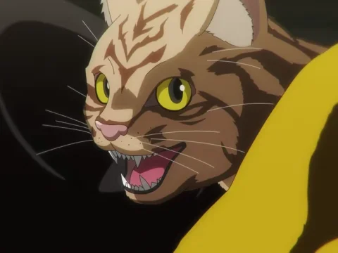 Nyaight of the Living Cat Anime Reveals Clip, Cast Details