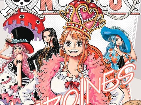 ONE PIECE Heroines Anime Adaptation Revealed